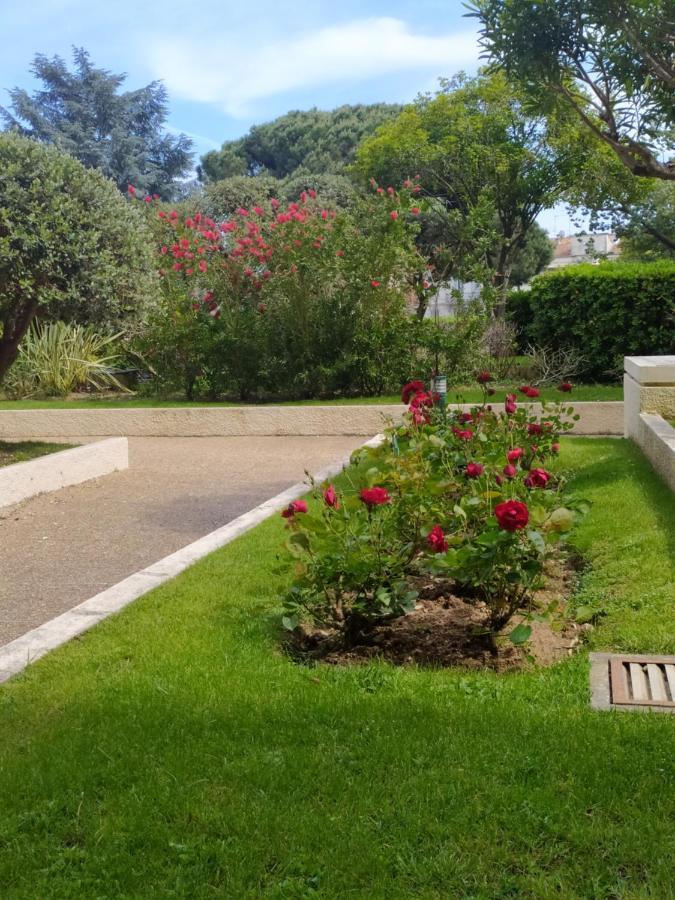 ואלאוריס Eden Golfe Plages A Pieds Parking Prive מראה חיצוני תמונה